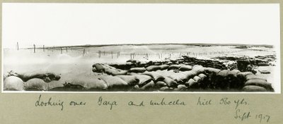 Mirando sobre Gaza y Umbrella Hill, septiembre 1917 de Capt. Arthur Rhodes