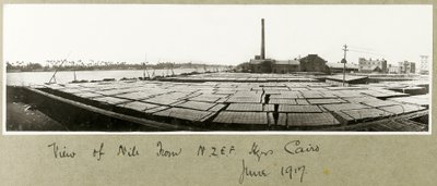 Vista del Nilo desde la sede de N.Z.M.F.A., El Cairo, junio de 1917 de Capt. Arthur Rhodes