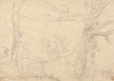 Holne Chase, 30 de mayo de 1833 de Capt. Thomas Hastings