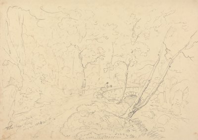 Puente y río Holne Chase, 30 de mayo de 1833 de Capt. Thomas Hastings