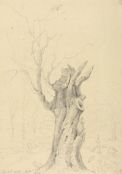 En Lord Yarborough