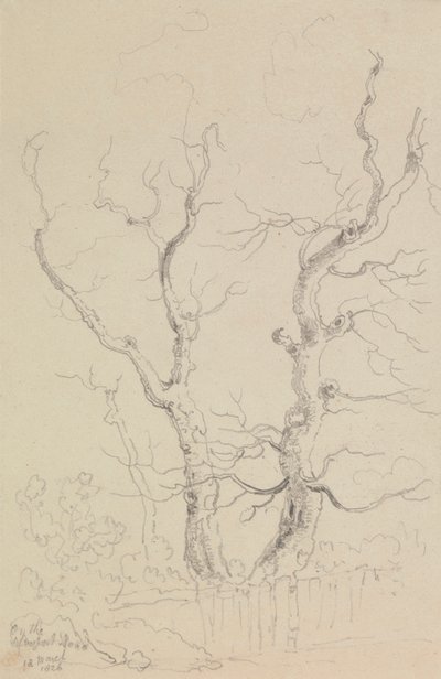 En la carretera de Newport, Isla de Wight de Capt. Thomas Hastings