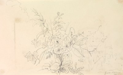 Bosquejo de plantas y un hito de la naturaleza, 3 de junio de 1826 de Capt. Thomas Hastings