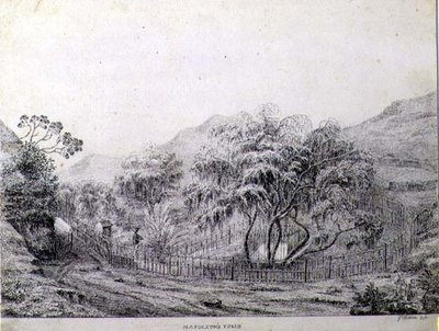 Tumba de Napoleón en Longwood en la Isla de Santa Elena de Captain G. Rotton