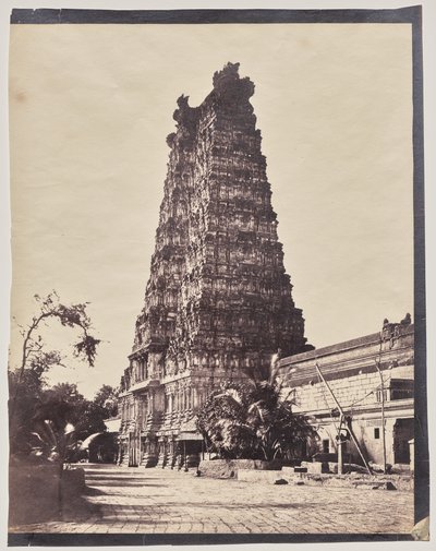 Entrada occidental (Gopuram) del templo Meenakshi Sundareshwar, Madurai de Captain Linnaeus Tripe