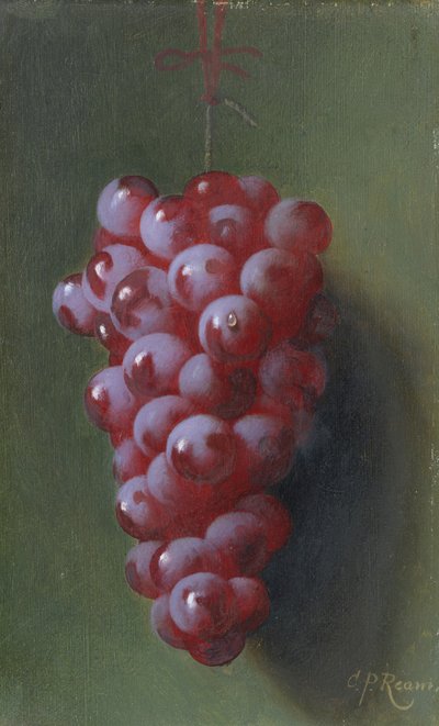 Naturaleza muerta con uvas de Carducius Plantagenet Ream