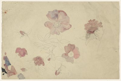 Estudios florales en púrpura y rosa de Carel Adolph Lion Cachet