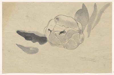 Estudio de las flores de Carel Adolph Lion Cachet