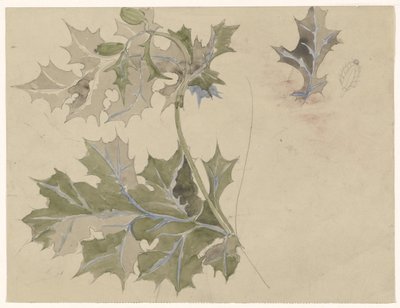 Hojas de cardo de Carel Adolph Lion Cachet