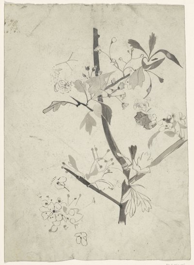 Rama con flor de Carel Adolph Lion Cachet