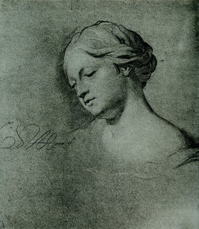 Estudio de cabeza femenina de Carel De Moor