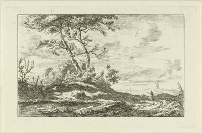 Pastor en un camino rural Paisajes (a-f) (título de la serie) de Carel Lodewijk Hansen