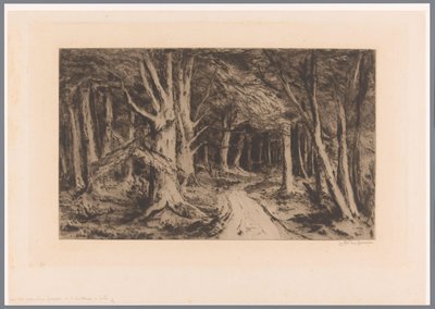 Bosrand met bospad
Entrada al bosque (título original) de Carel Nicolaas Storm van 