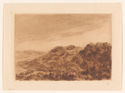 Paisaje de dunas cerca de La Haya de Carel Nicolaas Storm van 