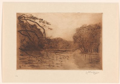 Estanque en el bosque de La Haya de Carel Nicolaas Storm van 