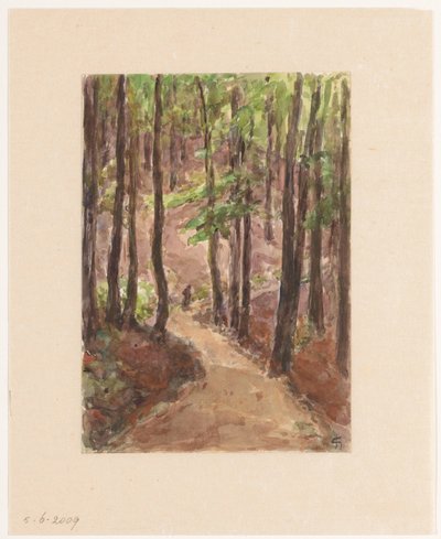 Carretera forestal por las colinas de Baden-Baden de Carel Nicolaas Storm van 