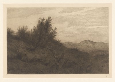 Paisaje de dunas
Les dunes à Zandvoort (título original) de Carel Nicolaas Storm van 