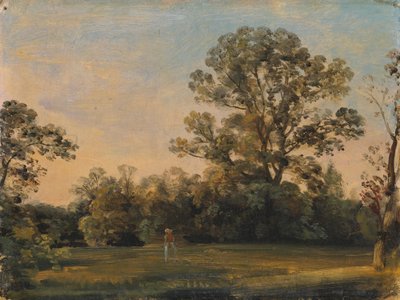 Paisaje forestal con un castillo en el agua. de Carl Blechen