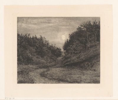 Camino del bosque a la luz de la luna de Carl Bloch