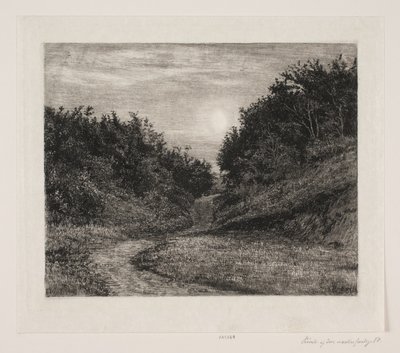 Una noche de verano a la luz de la luna de Carl Bloch