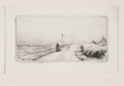 Camino rural con dama de paseo. Tarde soleada de Carl Bloch