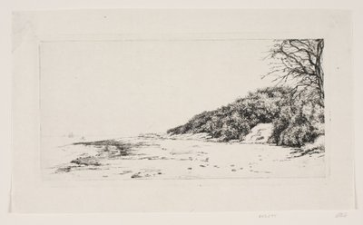 La ladera junto al mar de Carl Bloch
