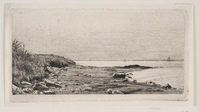 Escena de playa. Sol en el mar de Carl Bloch