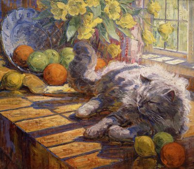 Tomar el sol de Carl Budtz Moller