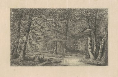 Bosque de hayas de Carl C. Brenner