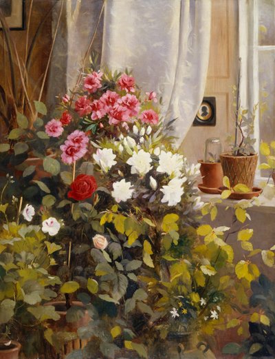Azaleas, Geranios, Rosas y otras Plantas en Macetas junto a una Ventana de Carl Christian Carlsen