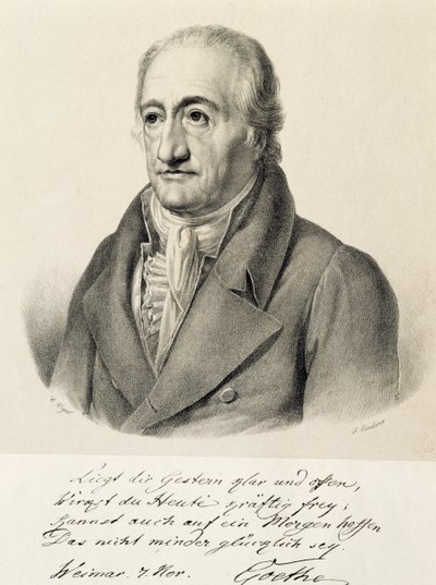 Retrato de Johann Wolfgang von Goethe de Carl Christian Vogel von Vogelstein
