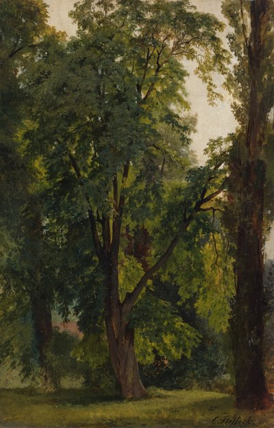 Bosque en Konigswusterhausen de Carl Constantin Steffeck
