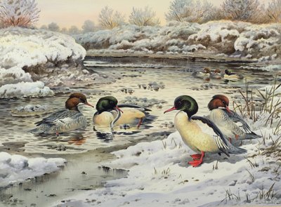 Serretas de Carl Donner