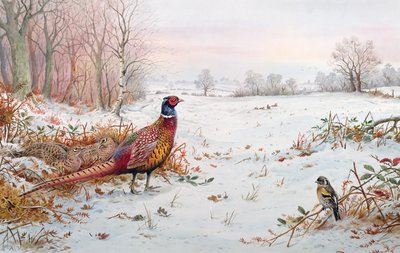 Faisán y pinzón en la nieve de Carl Donner