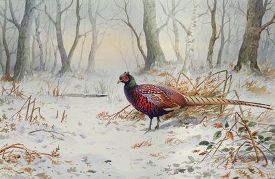 Faisanes en la nieve de Carl Donner