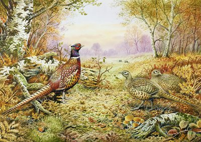 Faisanes en el Bosque de Carl Donner