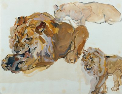 Estudio sobre animales de Schönbrunn de Carl Fahringer