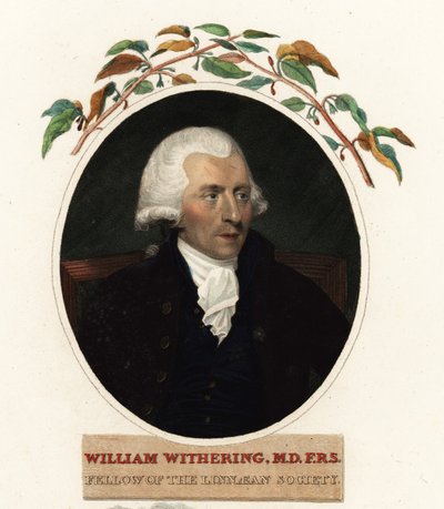Retrato de William Withering, médico y botánico de Carl Frederik van (after) Breda