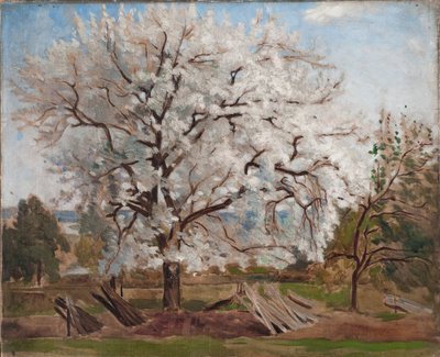  de Carl Fredrik Hill