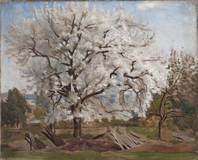 Manzano en flor de Carl Fredrik Hill