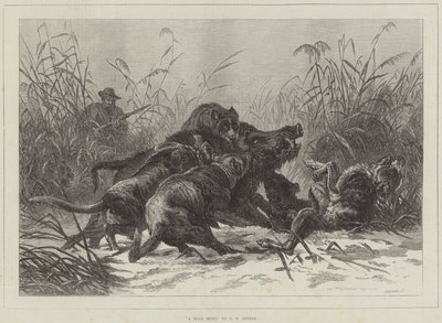 Una cacería de jabalíes de Carl Friedrich Deiker