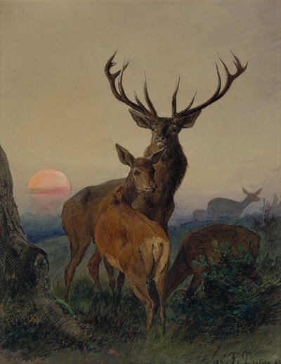 Un ciervo con un ciervo en un paisaje boscoso al atardecer de Carl Friedrich Deiker