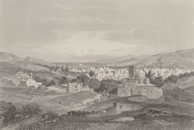 Ríos de Damasco de Carl Friedrich Heinrich Werner