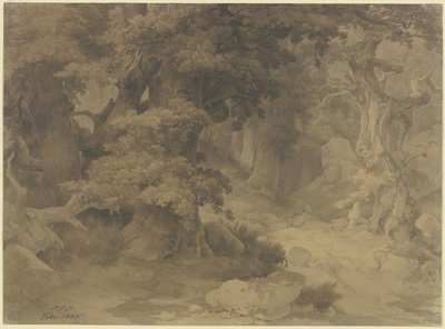  de Carl Friedrich Lessing