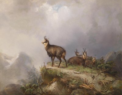 Carl Ockert Gamuza de Carl Friedrich Ockert