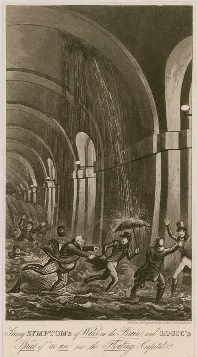Fuertes síntomas de agua en el cerebro de Carl Georg Adolph Hasenpflug