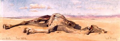 Un camello muerto de Carl Haag