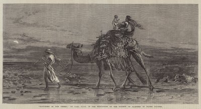 Felicidad en el desierto de Carl Haag