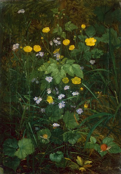 Ranúnculos y Nomeolvides en el suelo del bosque de Carl Henrik Koch Moller