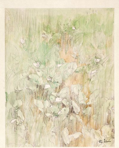 Kallor de Carl Larsson